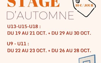 Stage d&rsquo;automne 2026